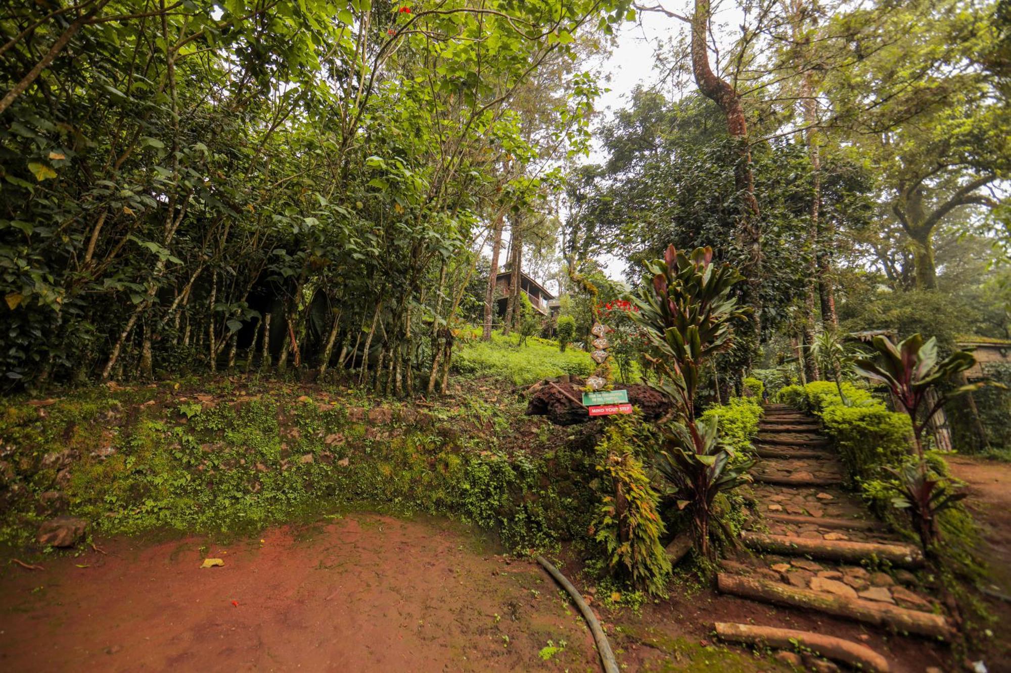 Nature Zone Jungle Resort Munnar Extérieur photo