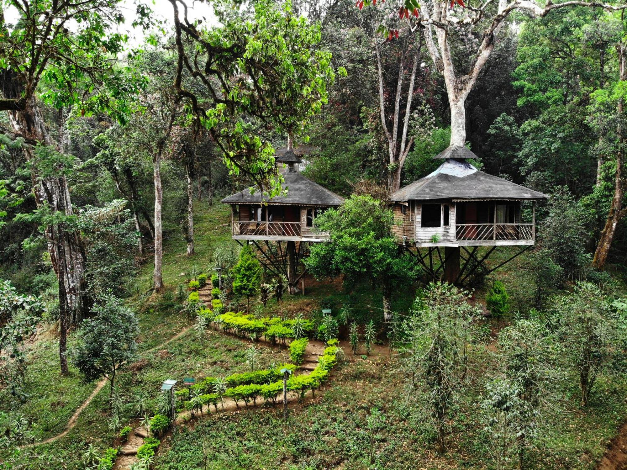 Nature Zone Jungle Resort Munnar Extérieur photo